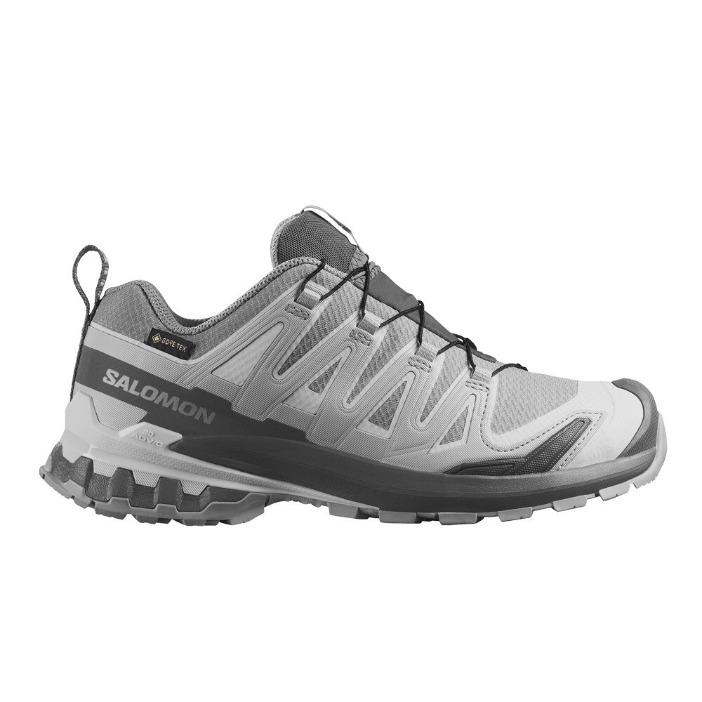 Salomon XA PRO 3D v9 GORE-TEX Women's Trail Running Shoes | Alloy/Castlerock/Lunar Rock