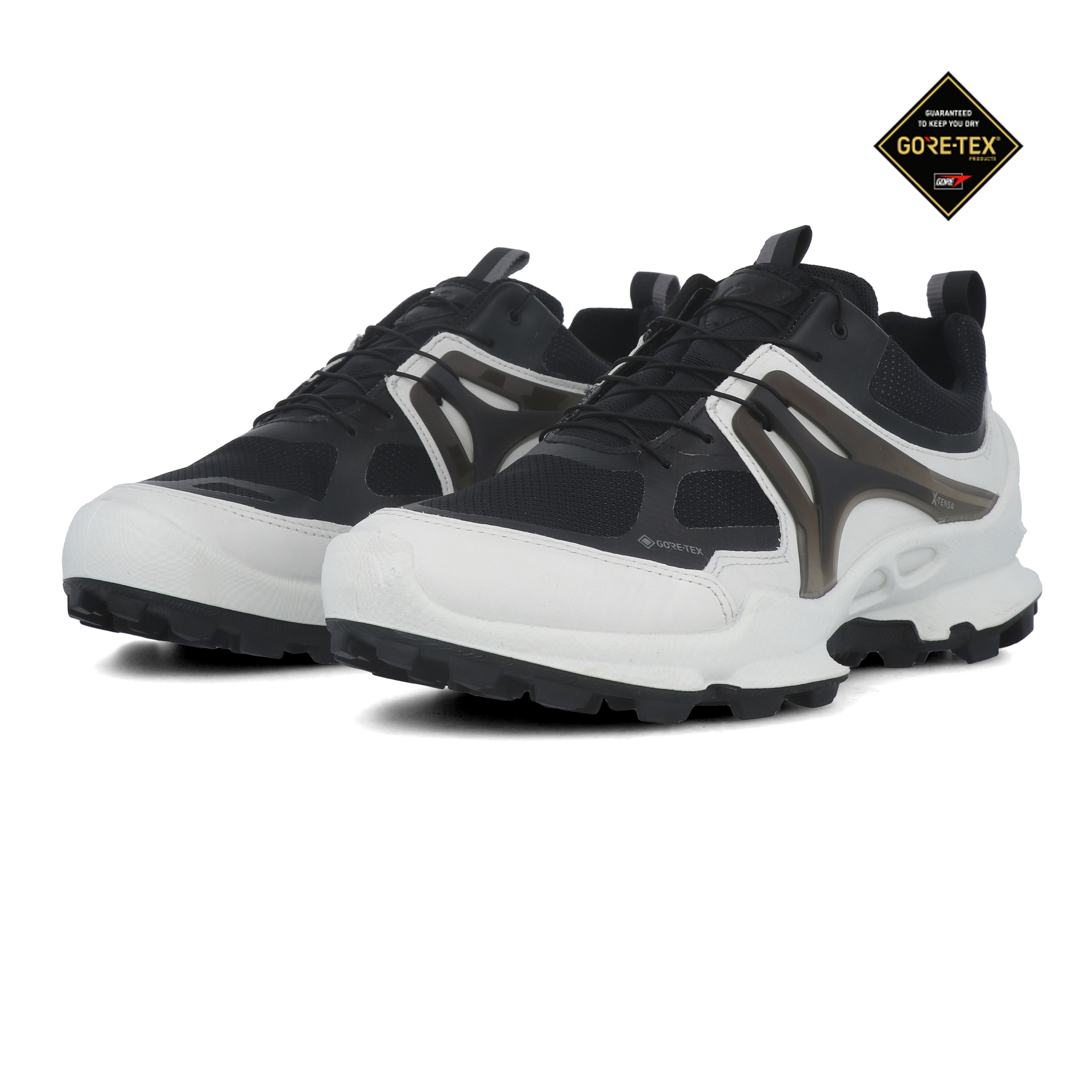 Ecco Biom C-Trail M chaussures de marche