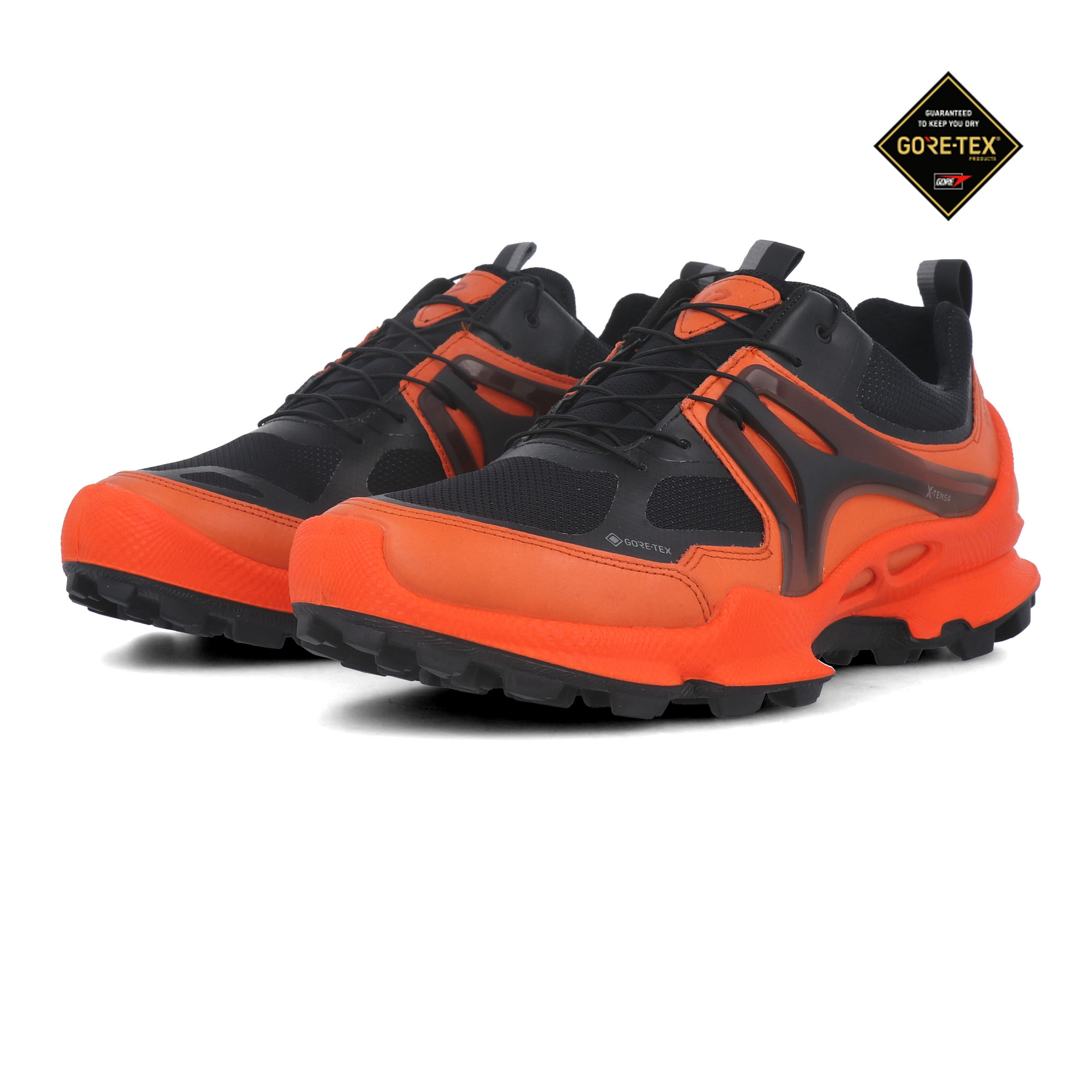 Ecco Biom C-Trail M Walking Shoes