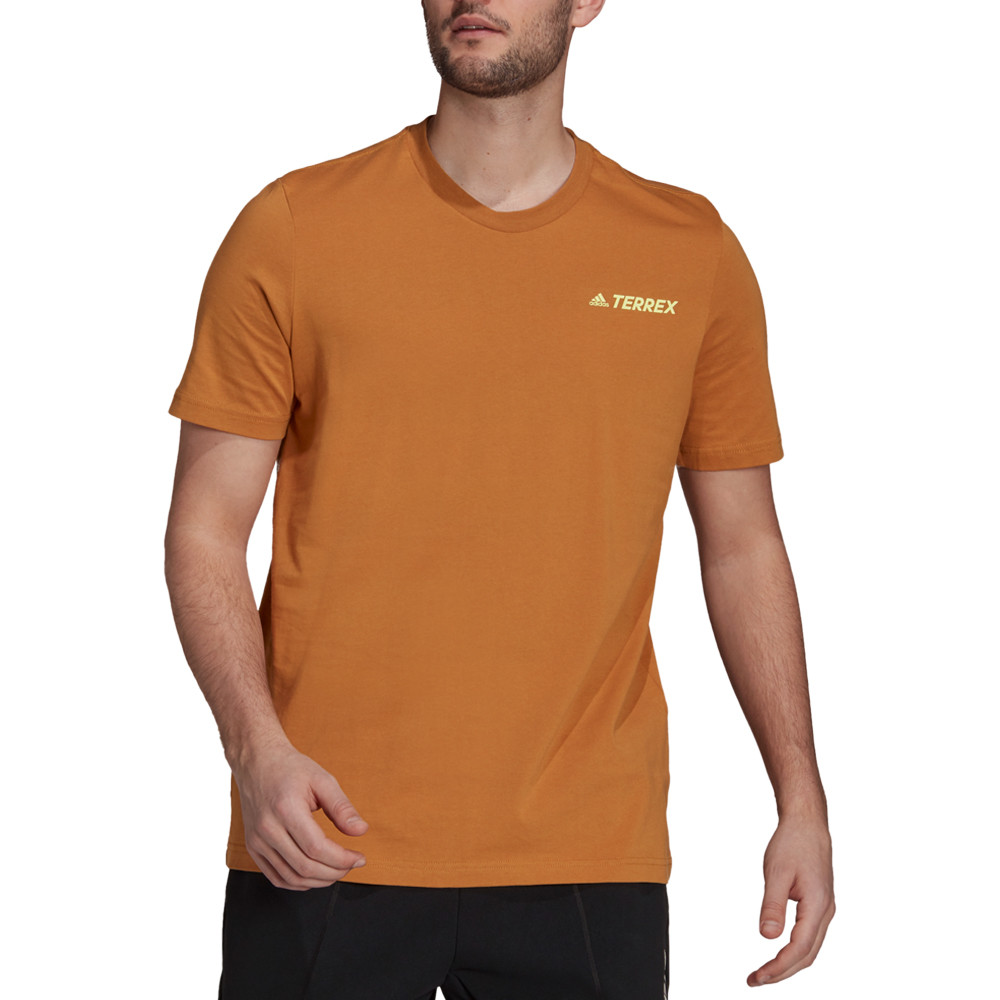 Camiseta adidas Terrex Mountain Graphic - AW21