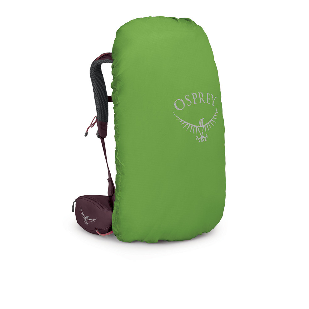 https://cdn11.bigcommerce.com/s-21x65e8kfn/images/stencil/original/products/57629/266554/OSP282_1000_5__74943.1688646970.jpg