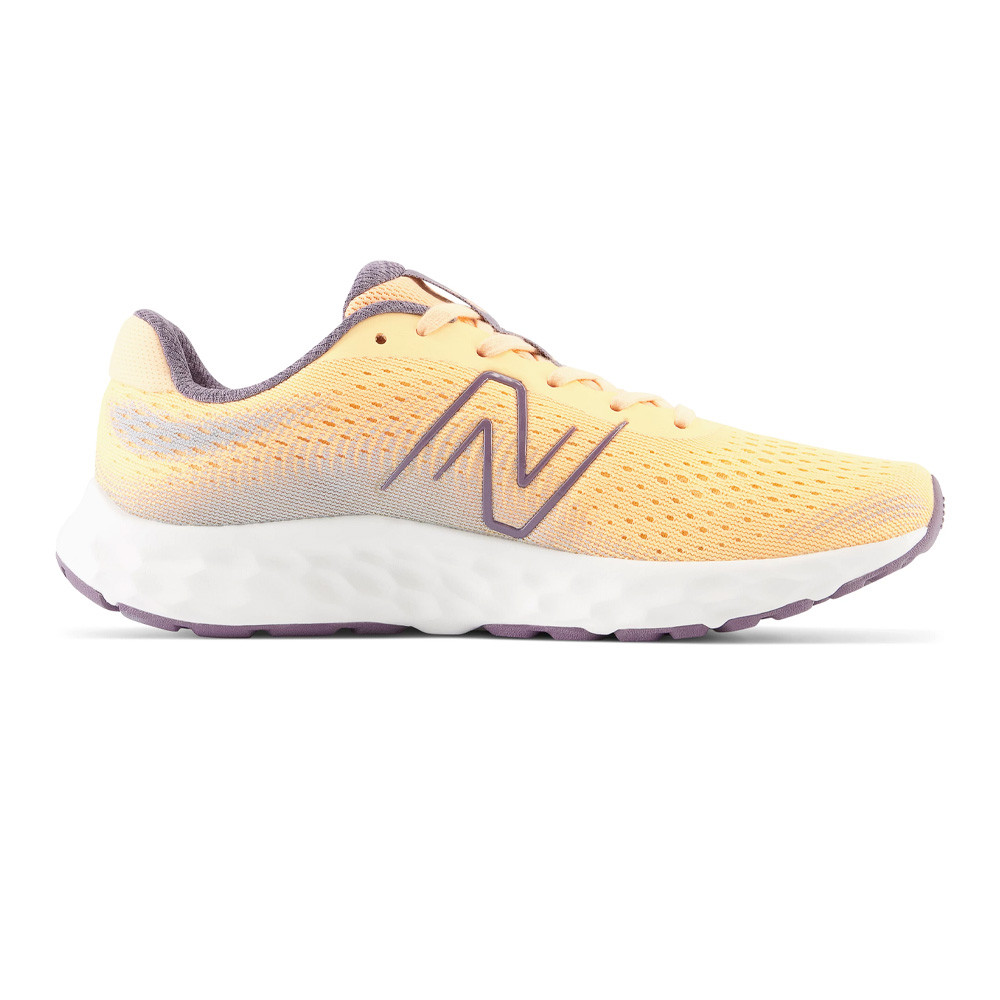 New Balance 520v8 femmes chaussures de running - AW23