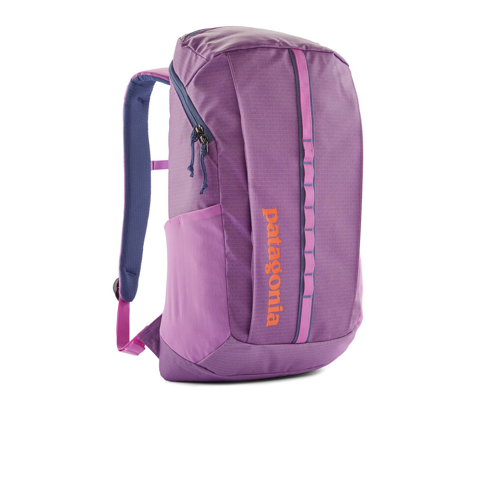 Patagonia Black Hole 25L Backpack - AW25