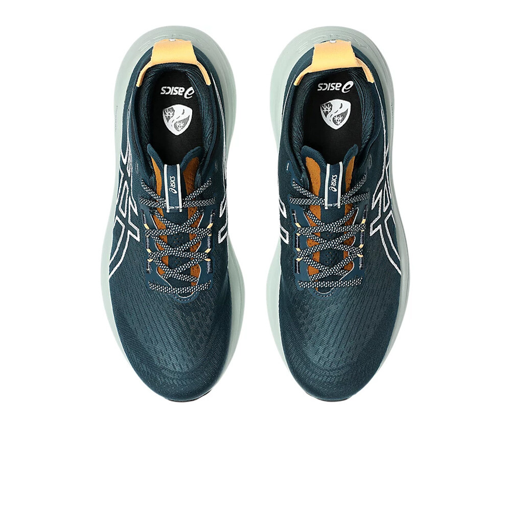 Asics Gel-Nimbus 27 TR Men's Running Shoes - AW25