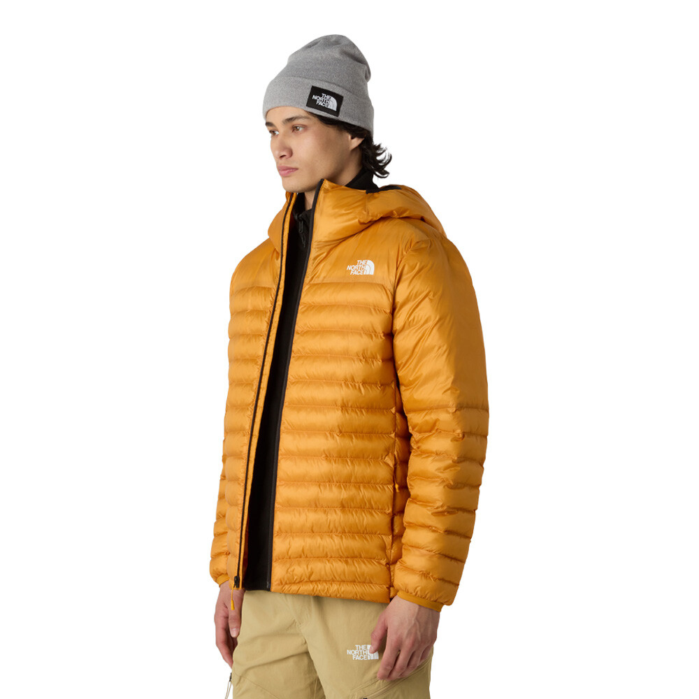 https://cdn11.bigcommerce.com/s-21x65e8kfn/images/stencil/original/products/82212/447506/TNF1390_1000_3__83369.1757082217.jpg