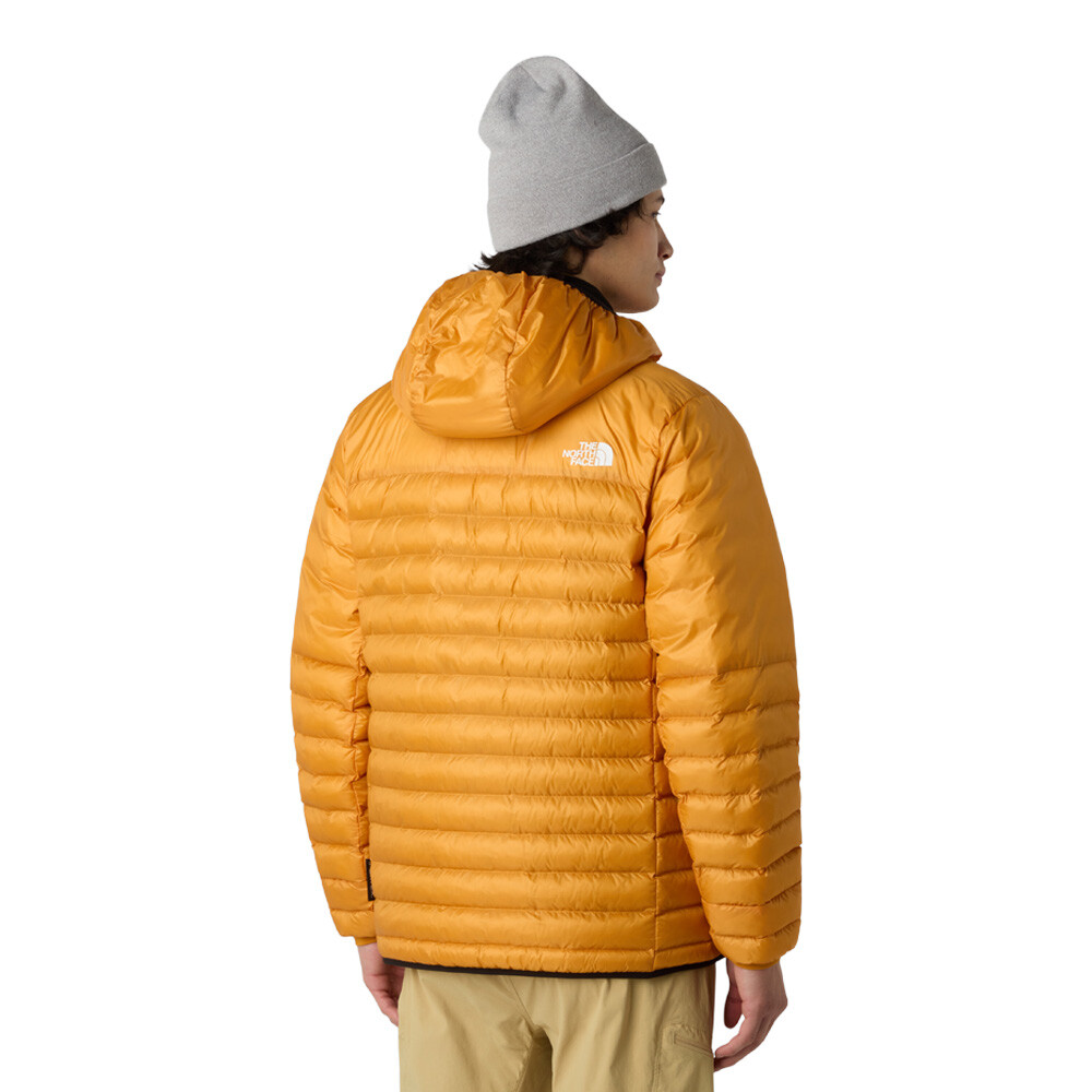 https://cdn11.bigcommerce.com/s-21x65e8kfn/images/stencil/original/products/82212/447507/TNF1390_1000_2__88919.1757082217.jpg