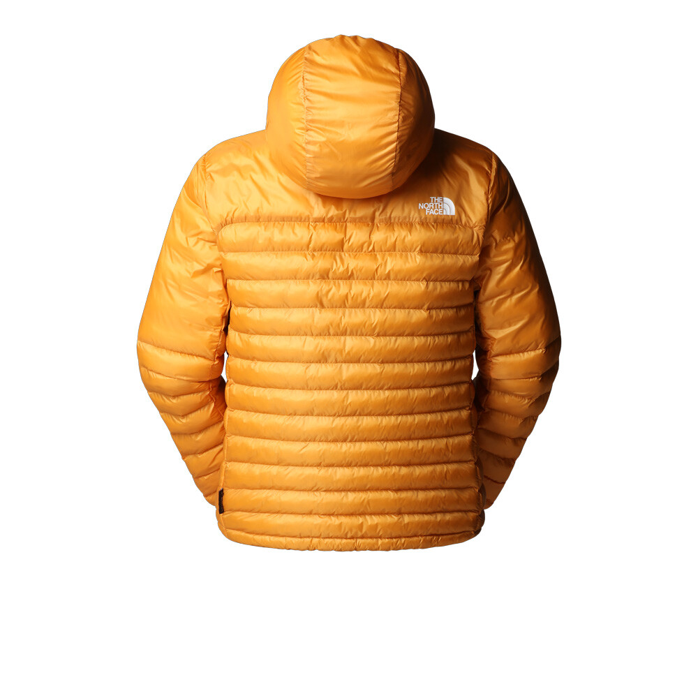 https://cdn11.bigcommerce.com/s-21x65e8kfn/images/stencil/original/products/82212/447511/TNF1390_1000_6__40561.1757082217.jpg