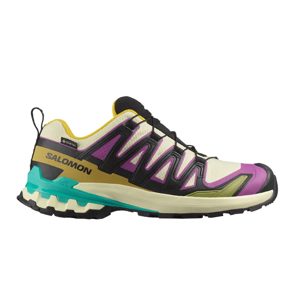 Salomon XA Pro 3D v9 GORE-TEX femme chaussures de trail - AW25