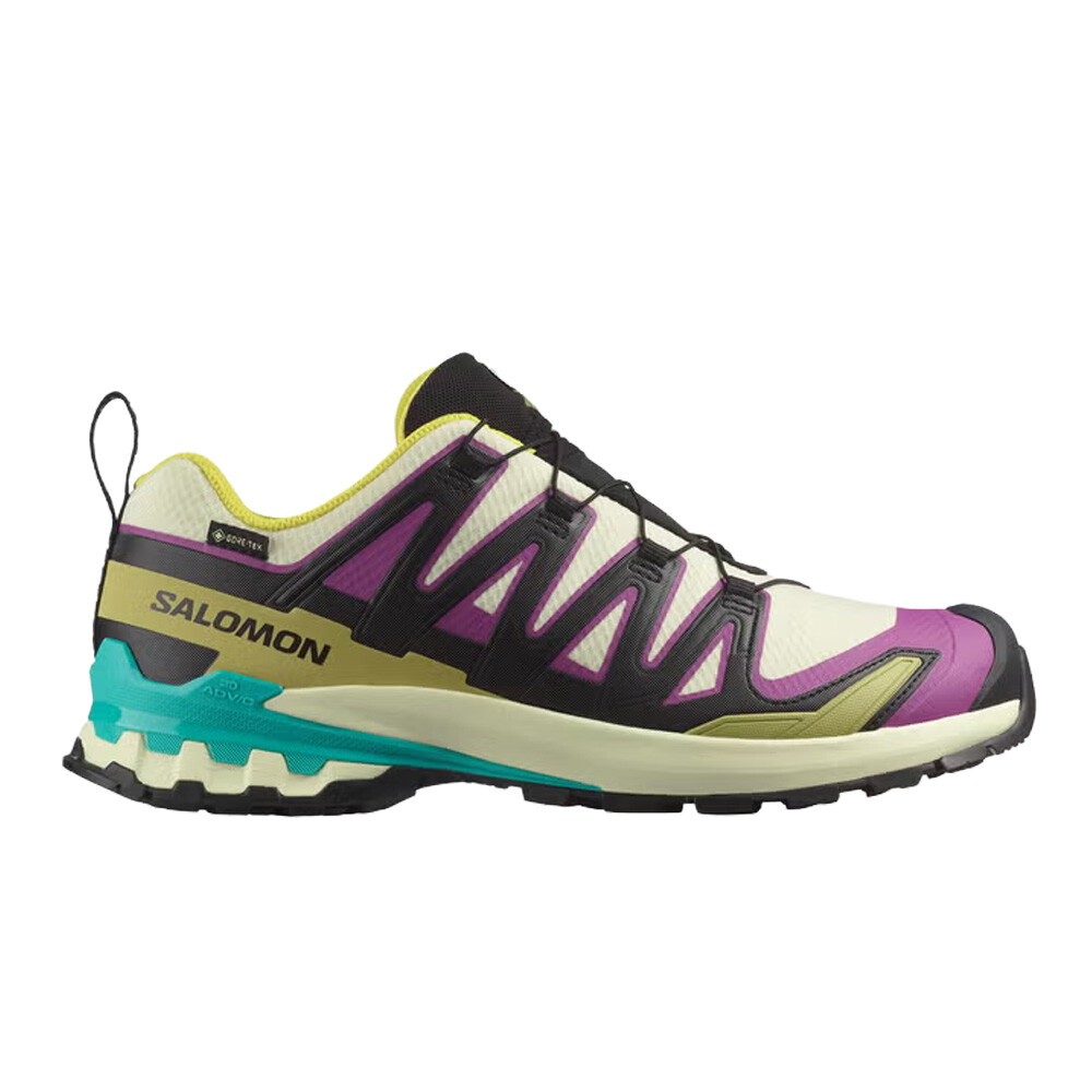 Salomon XA Pro 3D V9 GORE-TEX Men's Trail Running Shoes - AW25