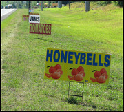 Political stakes are important... Political stakes are important...