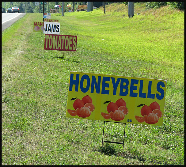 Political stakes are important...