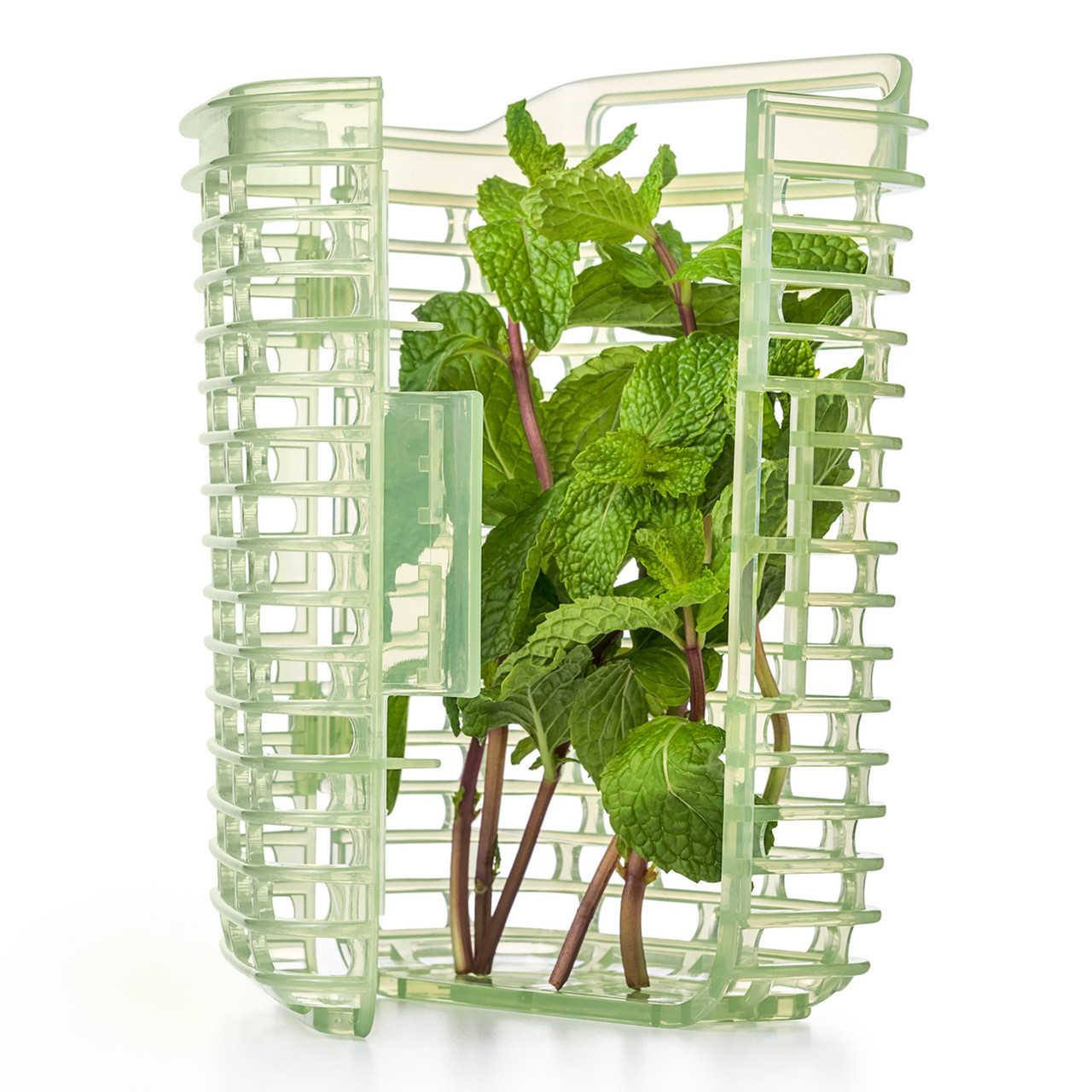 OXO GreenSaver Herb Keeper - Small