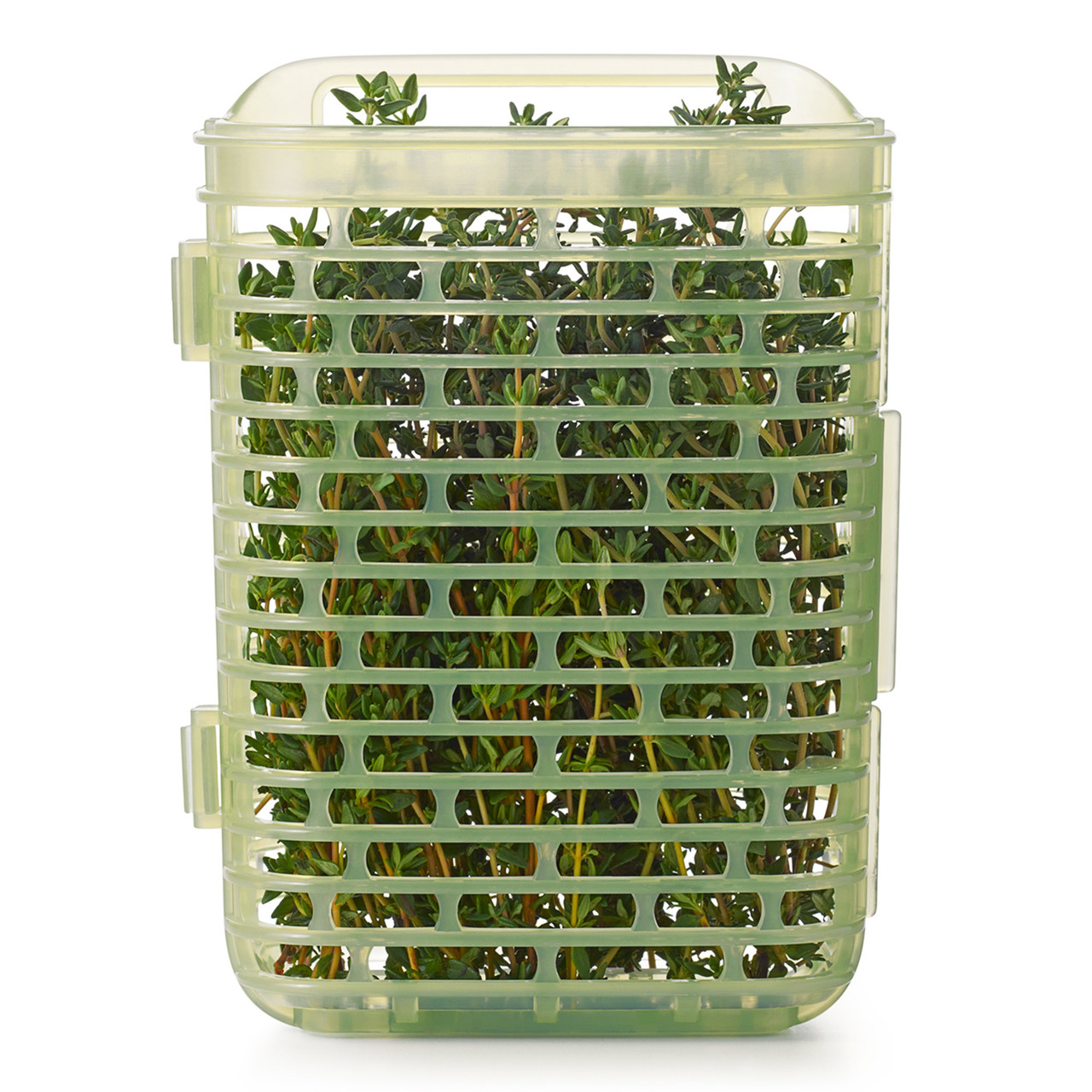 OXO GreenSaver Herb Keeper - Small