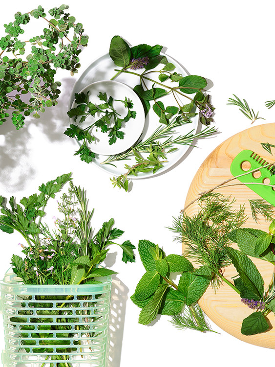 Herb Guide: How to Use—and Store—Fresh Herbs