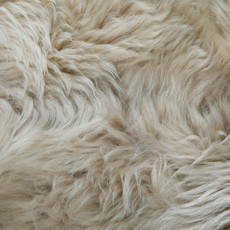 Champagne Octo Sheepskin Rug