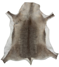 Reindeer Hide FRD005 (120cm x 115cm)