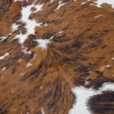 Cowhide Rug