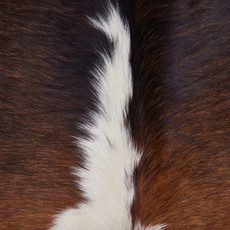 Cowhide Rug JULY23-117 (230cm x 210cm)