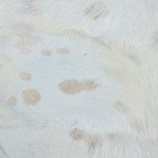 Cowhide Rug OCT23-033 (210cm x 200cm)