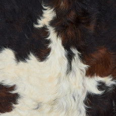 Cowhide Rug OCT23-110 (200cm x 190cm)