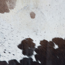 Cowhide Rug DEC23-040 (220cm x 190cm)