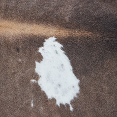 Cowhide Rug DEC23-062 (240cm x 210cm)