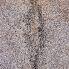 Cowhide Rug MAR24-056 (190cm x 190cm)