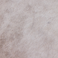 Cowhide Rug MAR24-103 (250cm x 180cm)