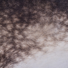 Cowhide Rug JAN25-139 (260cm x 230cm)