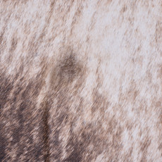 Cowhide Rug JAN25-160 (220cm x 200cm)