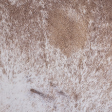 Cowhide Rug JAN25-190 (230cm x 220cm)