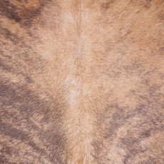 Cowhide Rug FEB25-084 (235cm x 200cm)