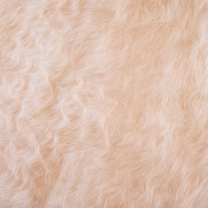 Cowhide Rug FEB25-177 (240cm x 200cm)