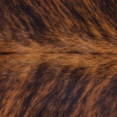 Cowhide Rug JUNE25-117 (200cm x 190cm)