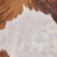 Cowhide Rug OCT25-080 (220cm x 190cm)