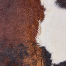 Cowhide Rug OCT25-114 (210cm x 210cm)