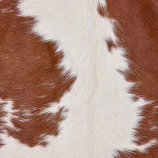 Cowhide Rug OCT25-126 (230cm x 200cm)