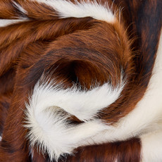 Cowhide Rug DEC25-004 (210cm x 200cm)
