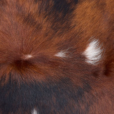 Cowhide Rug DEC25-005 (230cm x 200cm)