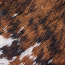 Cowhide Rug DEC25-012 (210cm x 180cm)