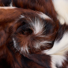 Cowhide Rug DEC25-019 (210cm x 200cm)