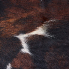 Cowhide Rug DEC25-023 (240cm x 210cm)