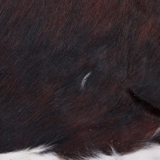 Cowhide Rug DEC25-041 (230cm x 210cm)