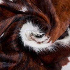 Cowhide Rug DEC25-044 (210cm x 190cm)