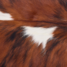 Cowhide Rug DEC25-054 (210cm x 180cm)