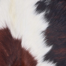 Cowhide Rug DEC25-056 (230cm x 210cm)