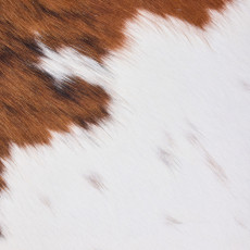 Cowhide Rug DEC25-057 (210cm x 190cm)