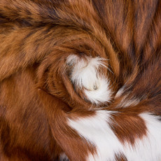 Cowhide Rug DEC25-057 (210cm x 190cm)