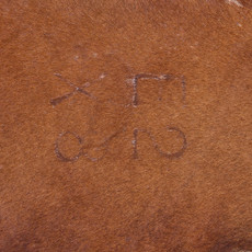 Cowhide Rug DEC25-058 (220cm x 190cm)