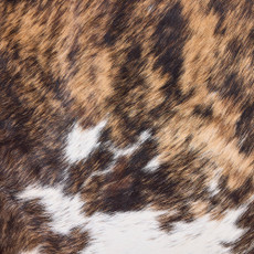 Cowhide Rug DEC25-061 (200cm x 170cm)
